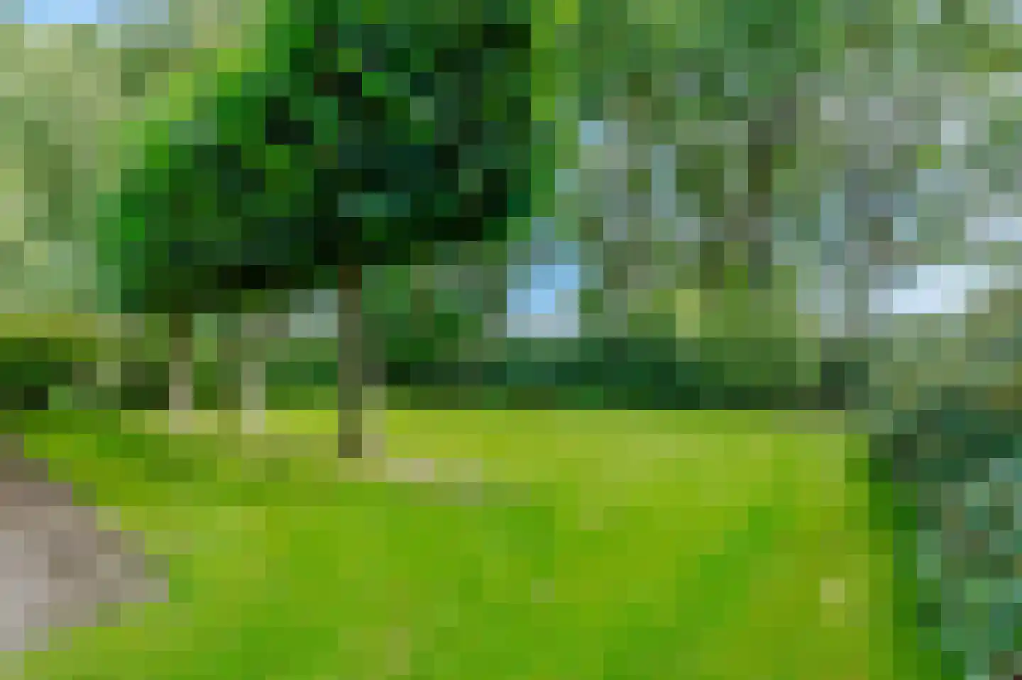 Ruitenveen 10 Nieuwleusen thumbnail 46