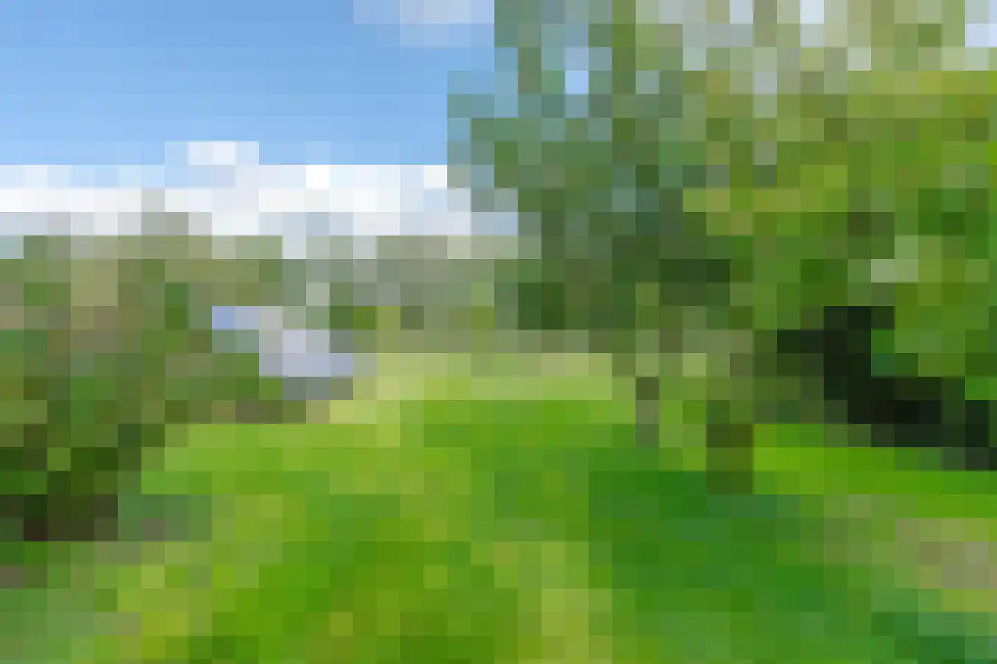 Ruitenveen 10 Nieuwleusen thumbnail 48