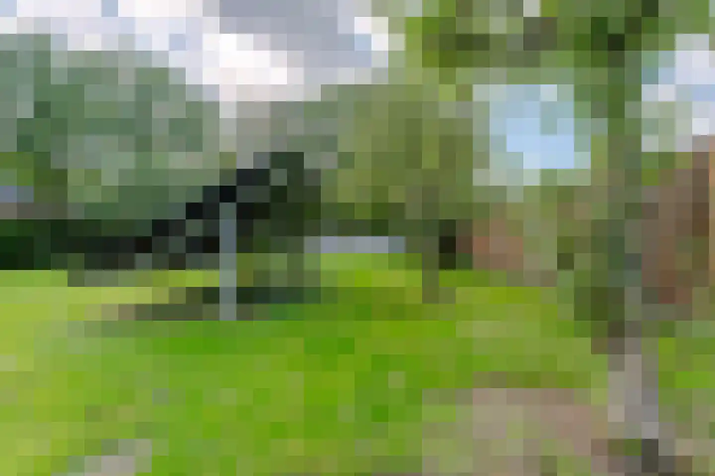 Ruitenveen 10 Nieuwleusen thumbnail 49