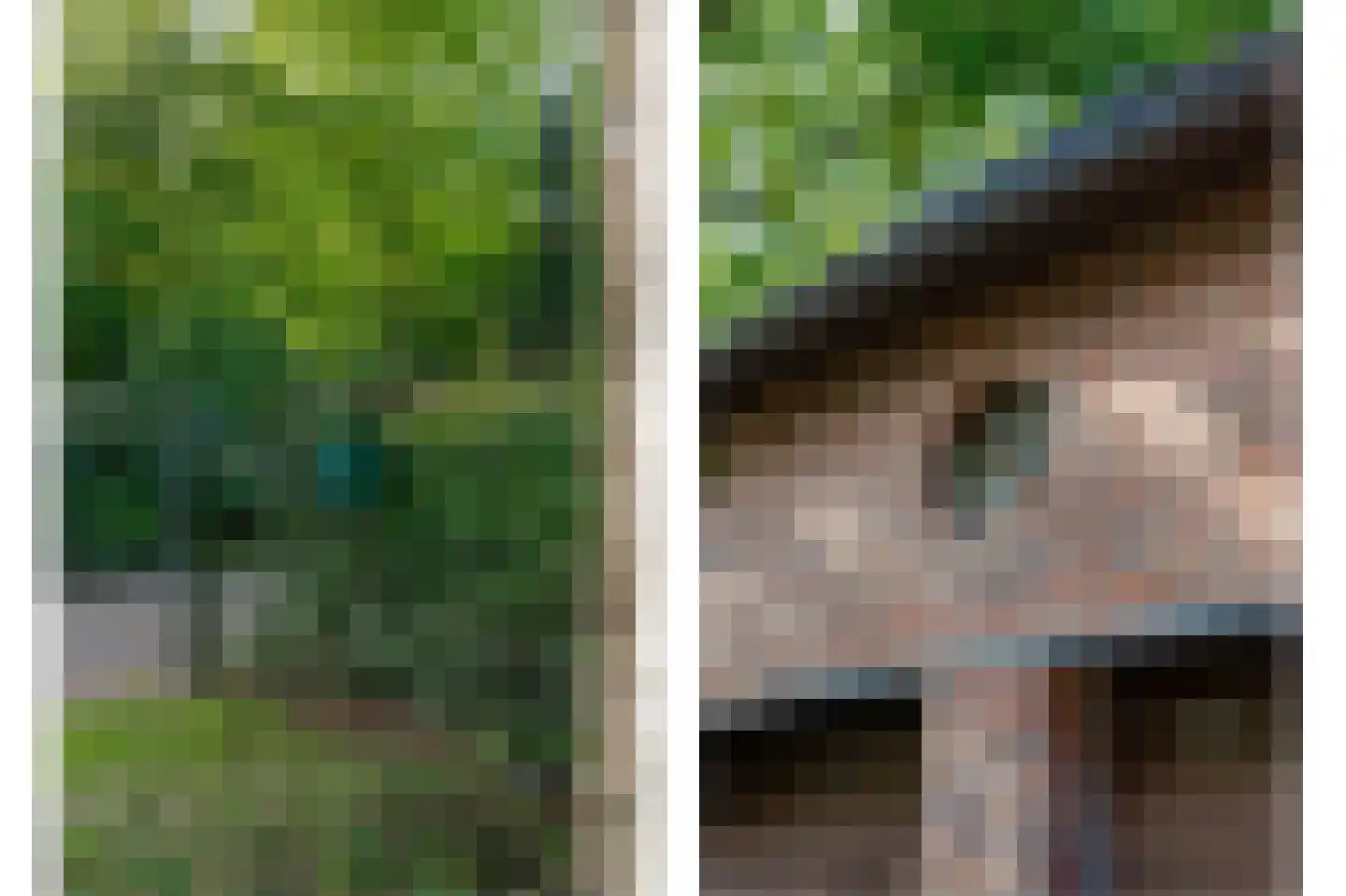 Ruitenveen 10 Nieuwleusen thumbnail 5