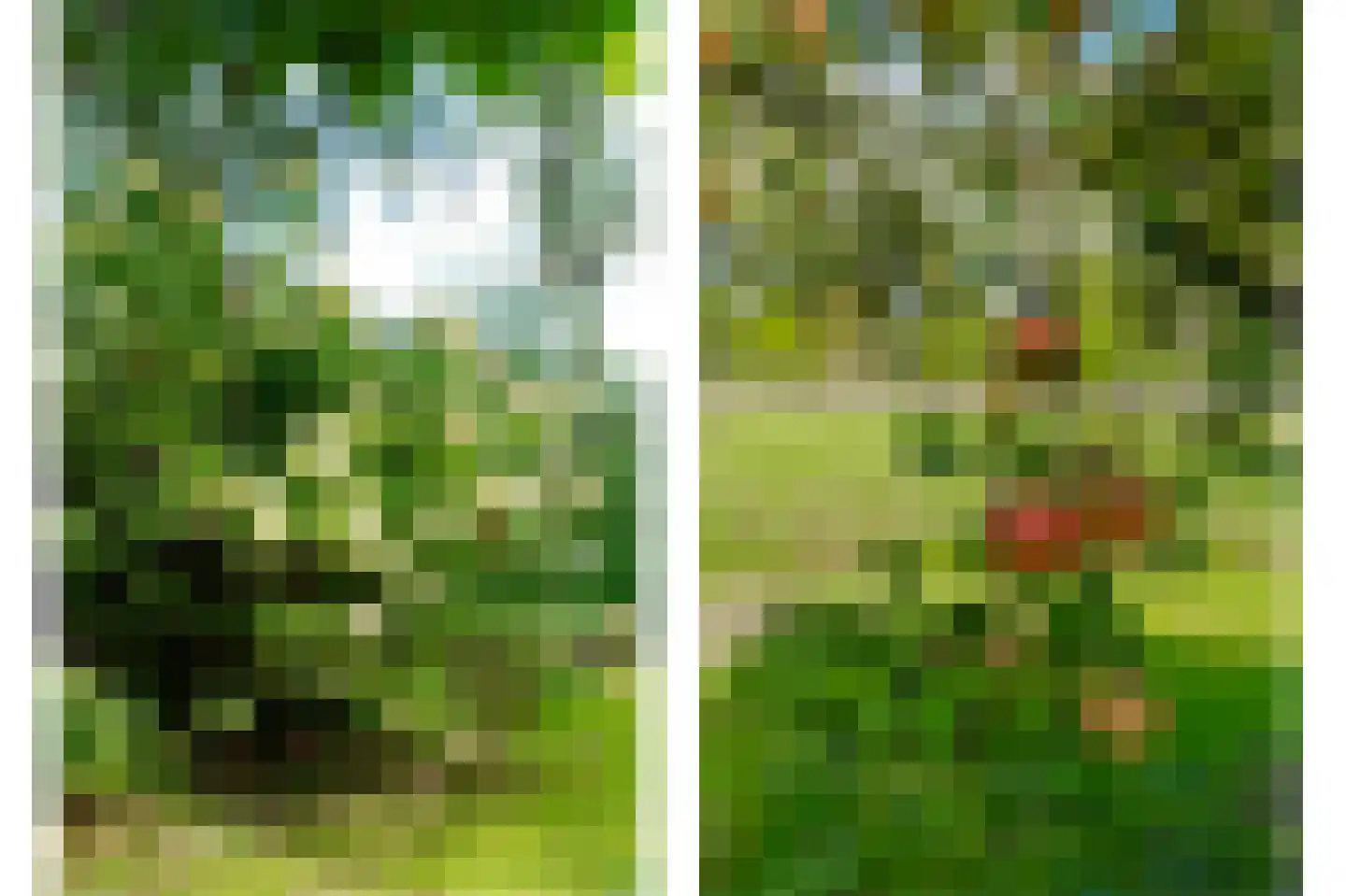 Ruitenveen 10 Nieuwleusen thumbnail 51