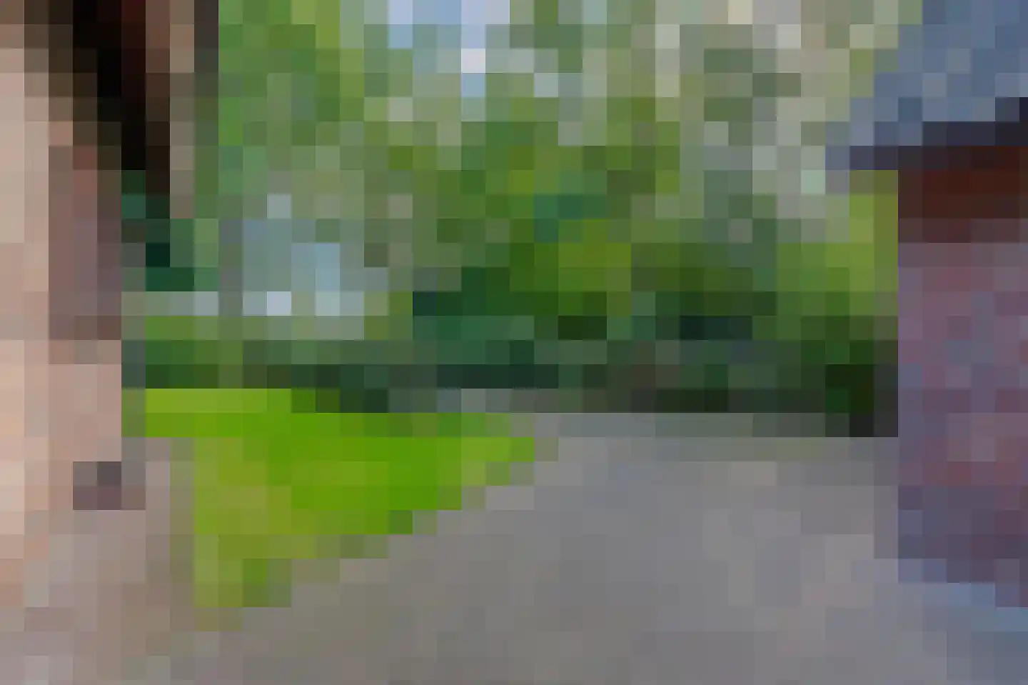 Ruitenveen 10 Nieuwleusen thumbnail 56