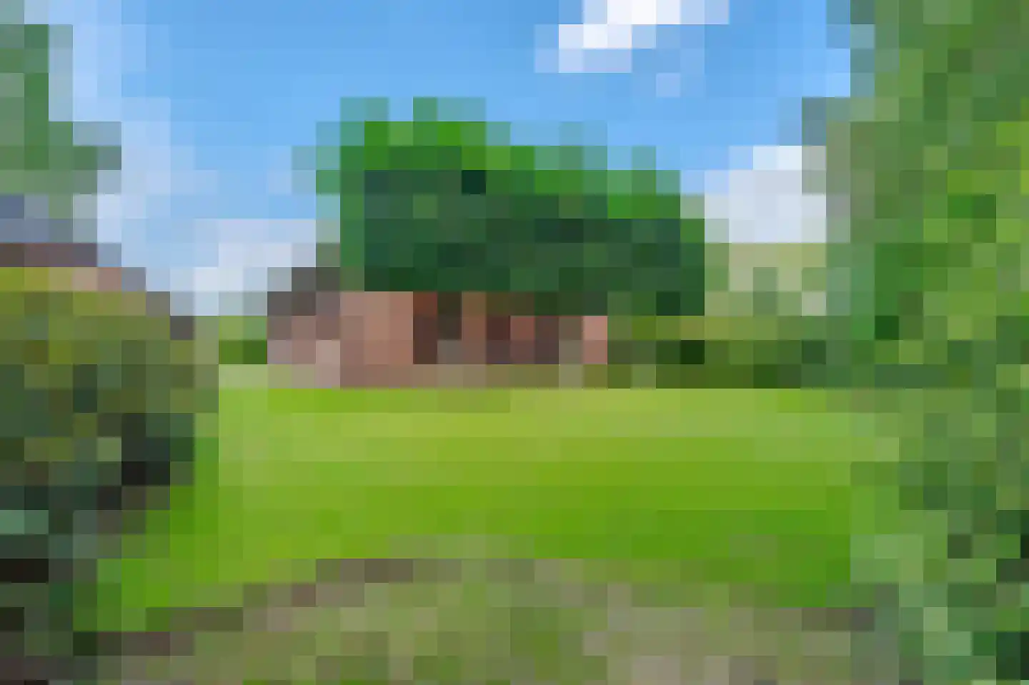 Ruitenveen 10 Nieuwleusen thumbnail 58