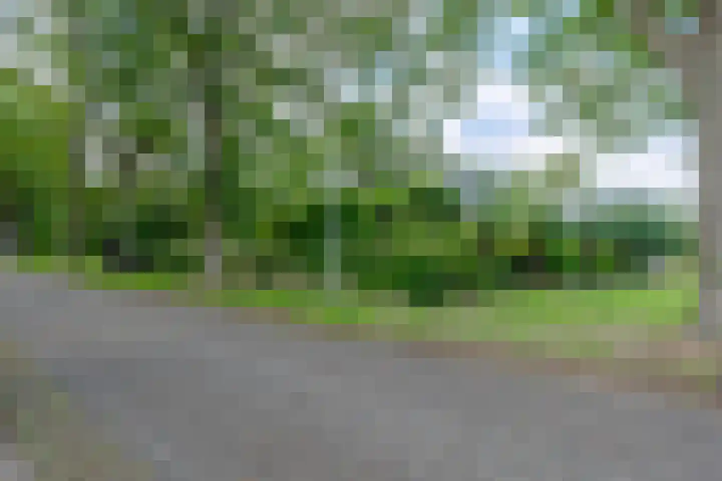 Ruitenveen 10 Nieuwleusen thumbnail 61