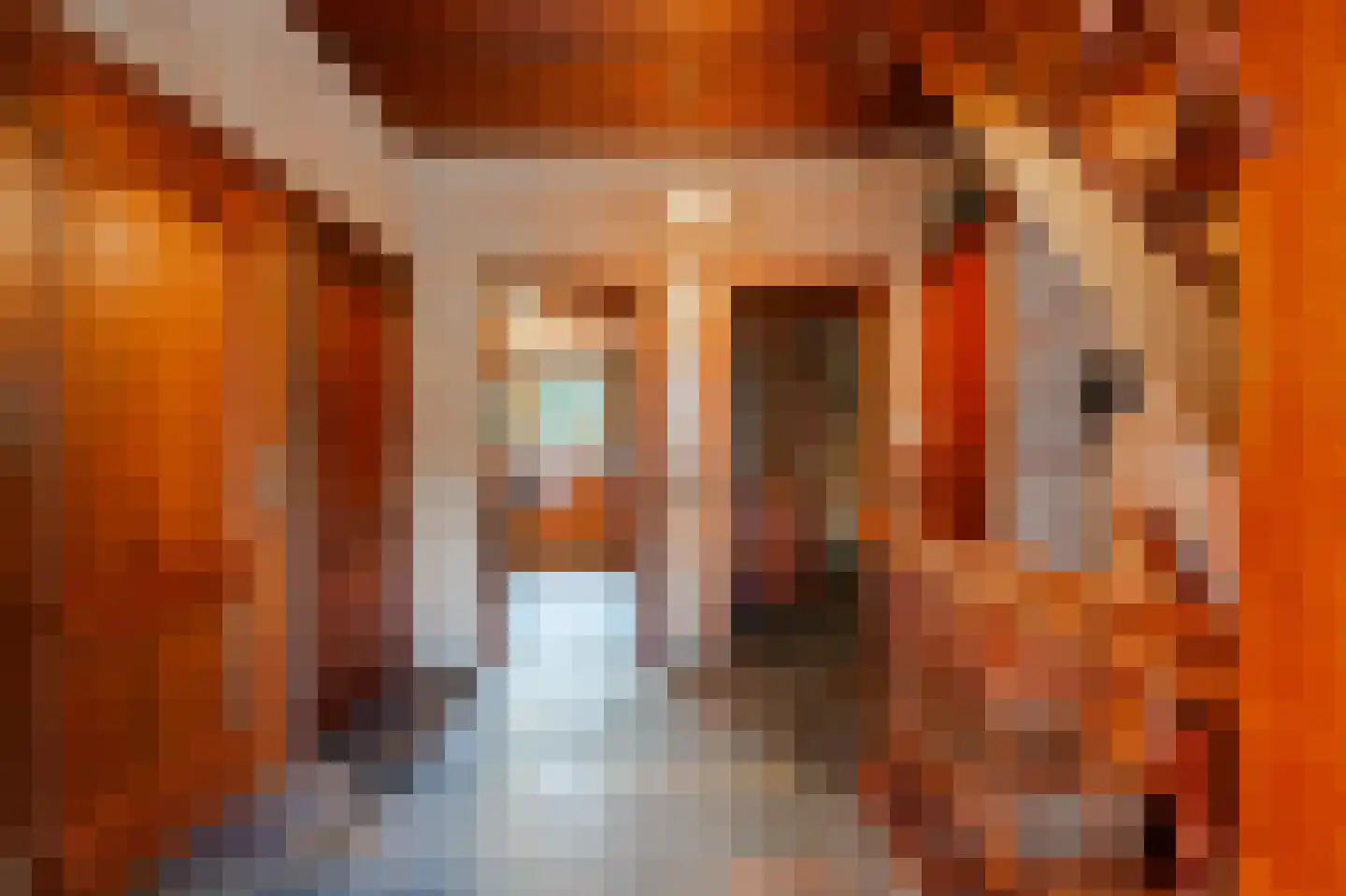 Ruitenveen 10 Nieuwleusen thumbnail 8