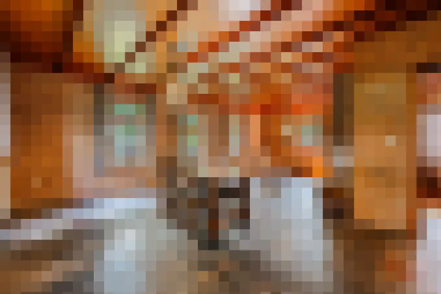 Ruitenveen 10 Nieuwleusen thumbnail 9