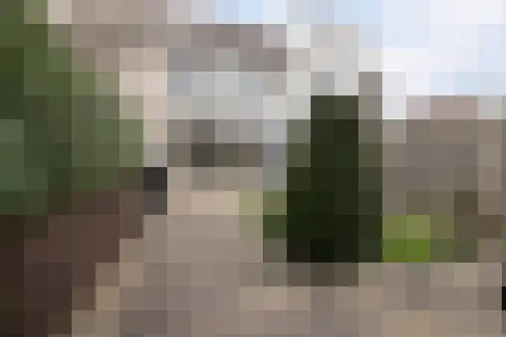 Ruitenveen 12 Zaandam thumbnail 35