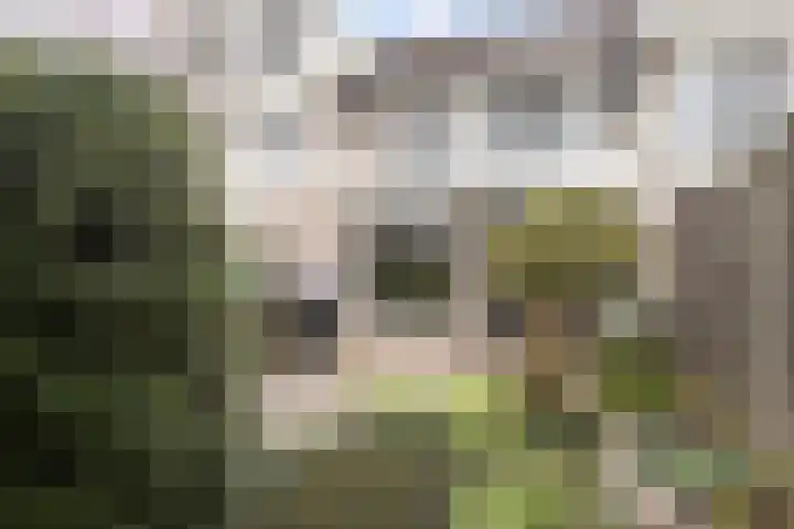 Ruitenveen 12 Zaandam thumbnail 36