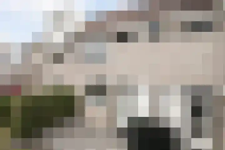 Ruitenveen 12 Zaandam thumbnail 37