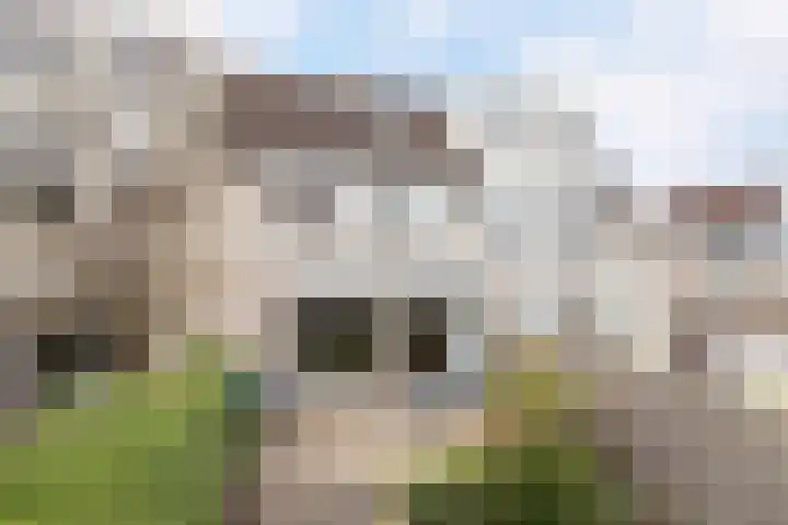 Ruitenveen 12 Zaandam thumbnail 38