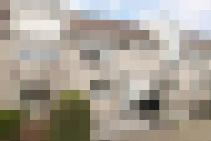 Ruitenveen 12 Zaandam thumbnail 40