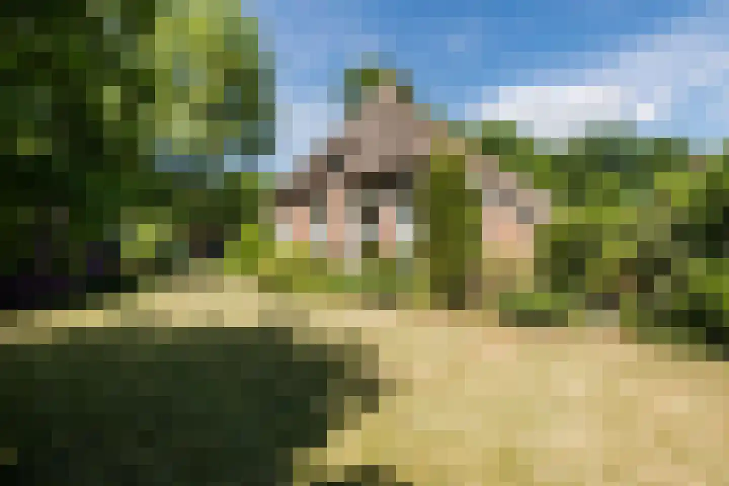 Ruitenveen 15 Nieuwleusen