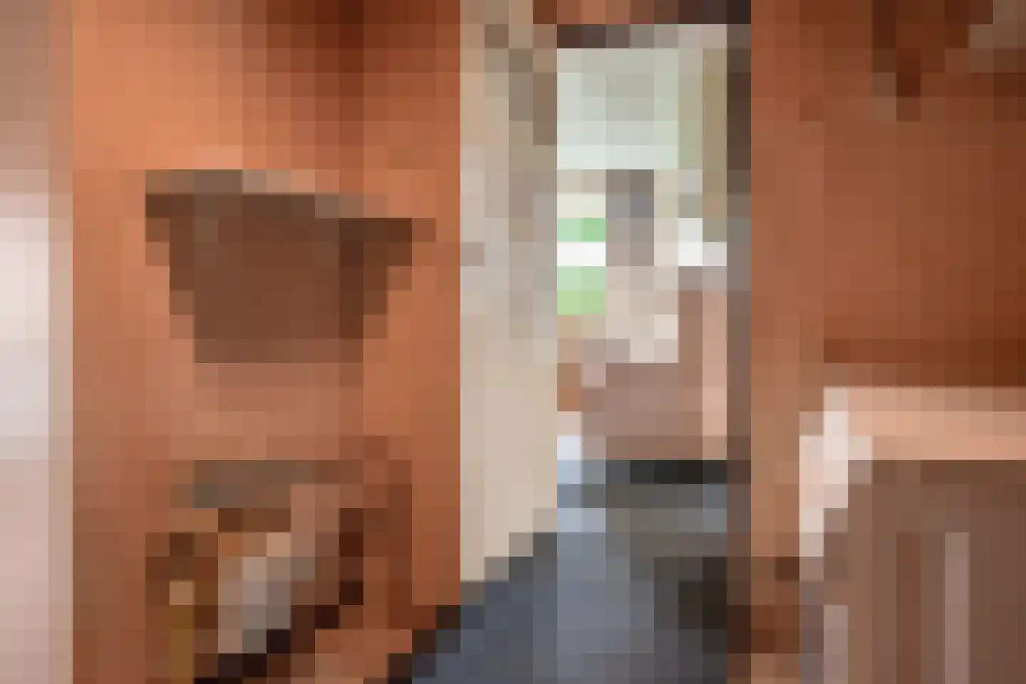 Ruitenveen 15 Nieuwleusen thumbnail 10