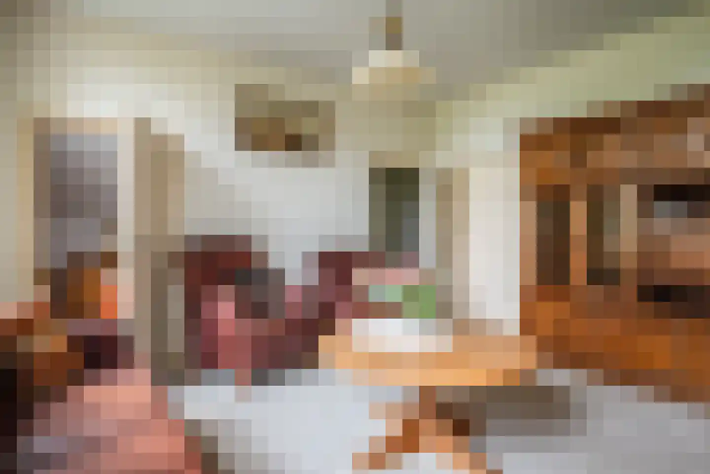 Ruitenveen 15 Nieuwleusen thumbnail 12