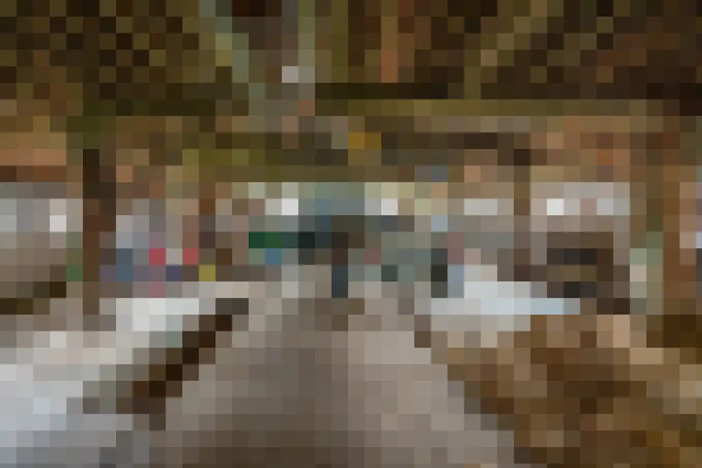 Ruitenveen 15 Nieuwleusen thumbnail 23