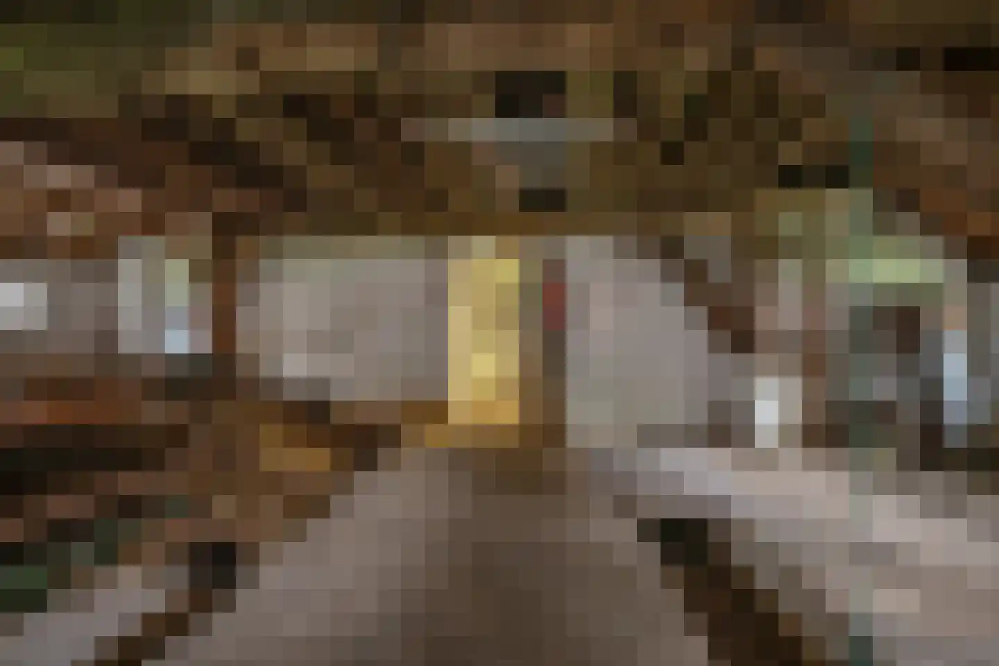 Ruitenveen 15 Nieuwleusen thumbnail 24