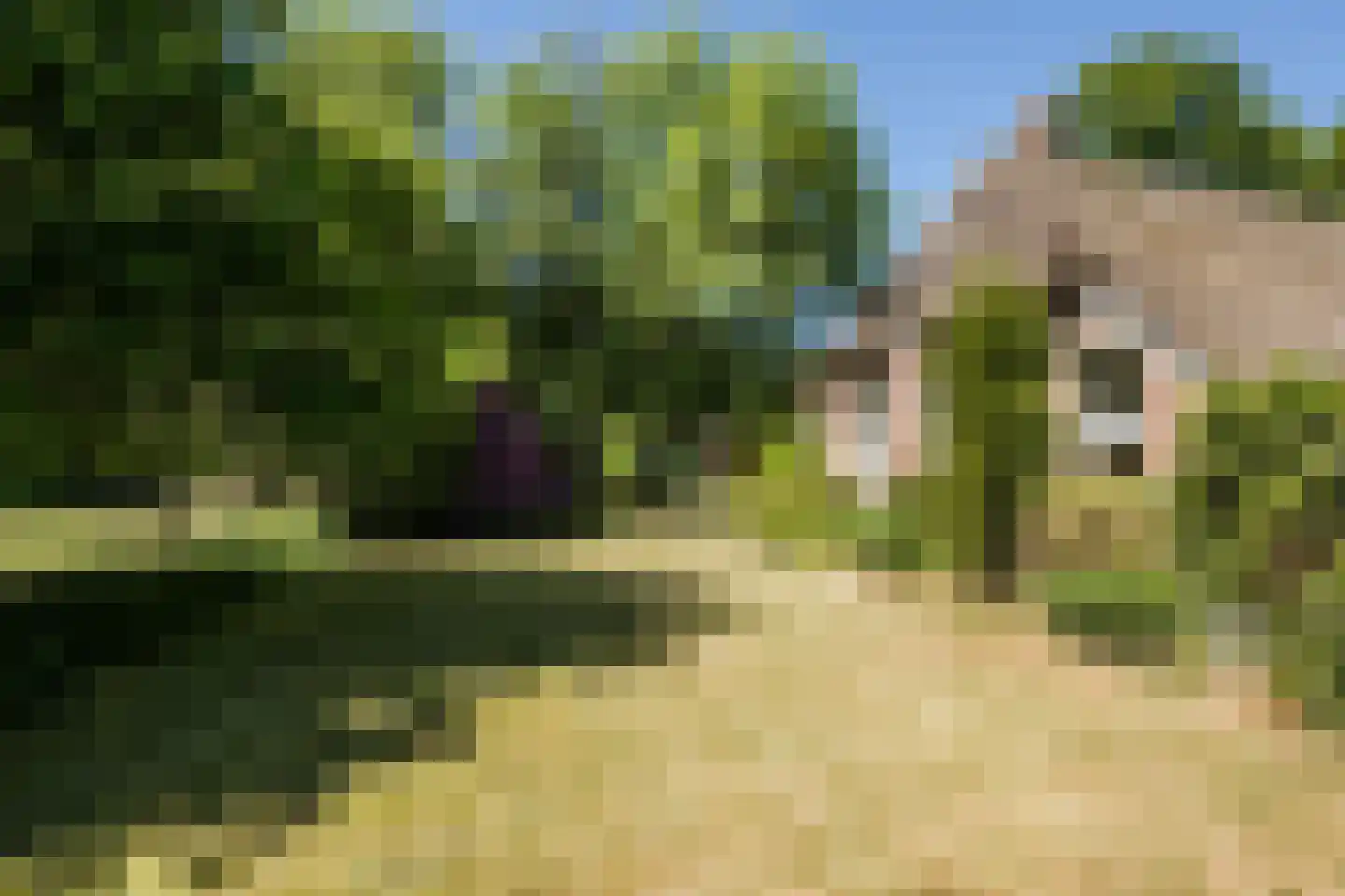 Ruitenveen 15 Nieuwleusen thumbnail 26