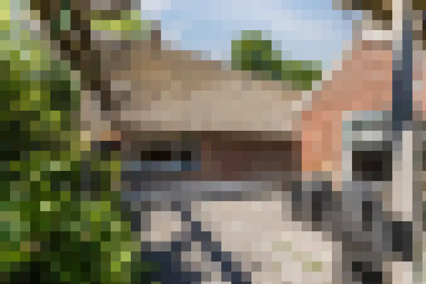 Ruitenveen 15 Nieuwleusen thumbnail 27