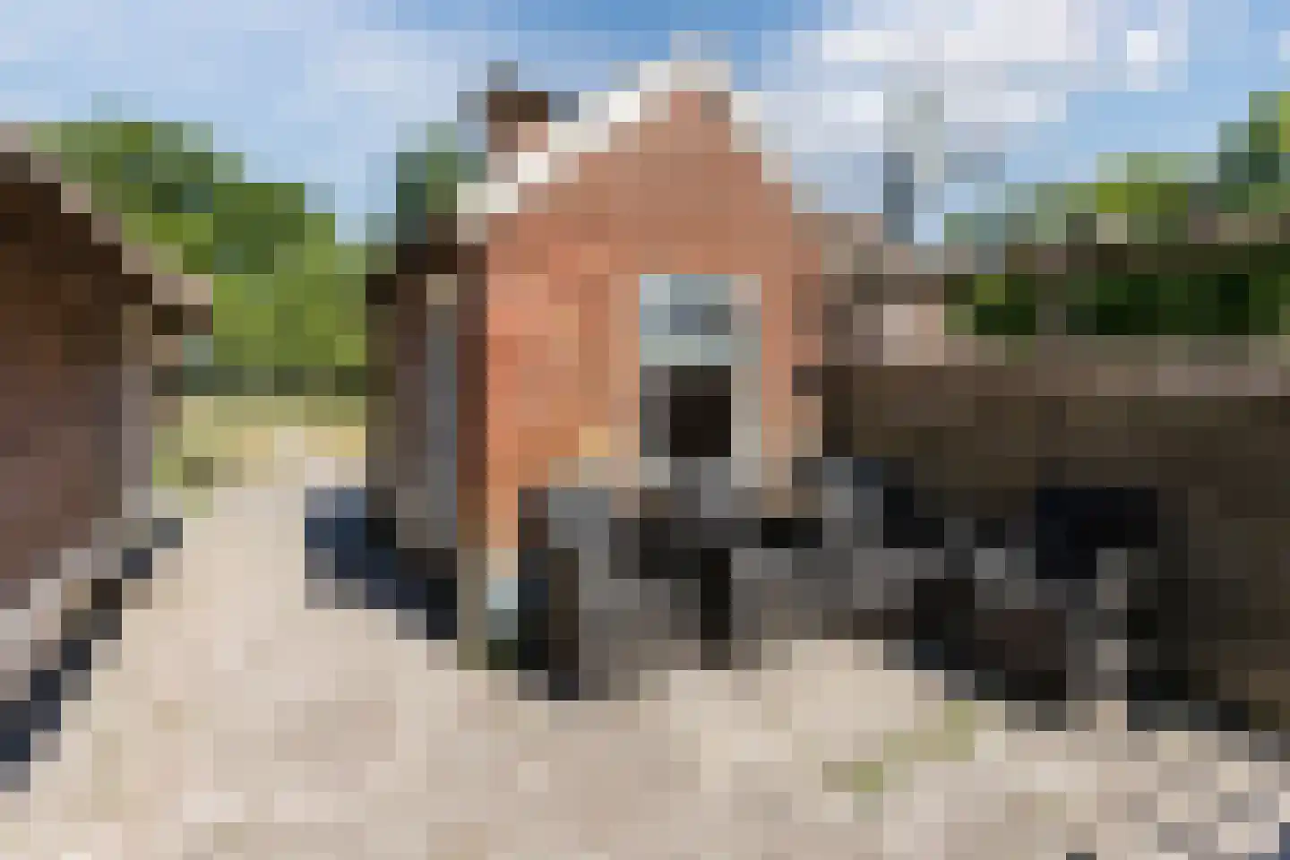 Ruitenveen 15 Nieuwleusen thumbnail 28