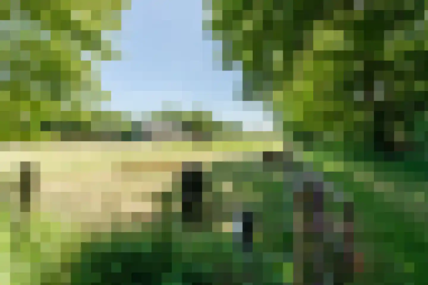Ruitenveen 15 Nieuwleusen thumbnail 31