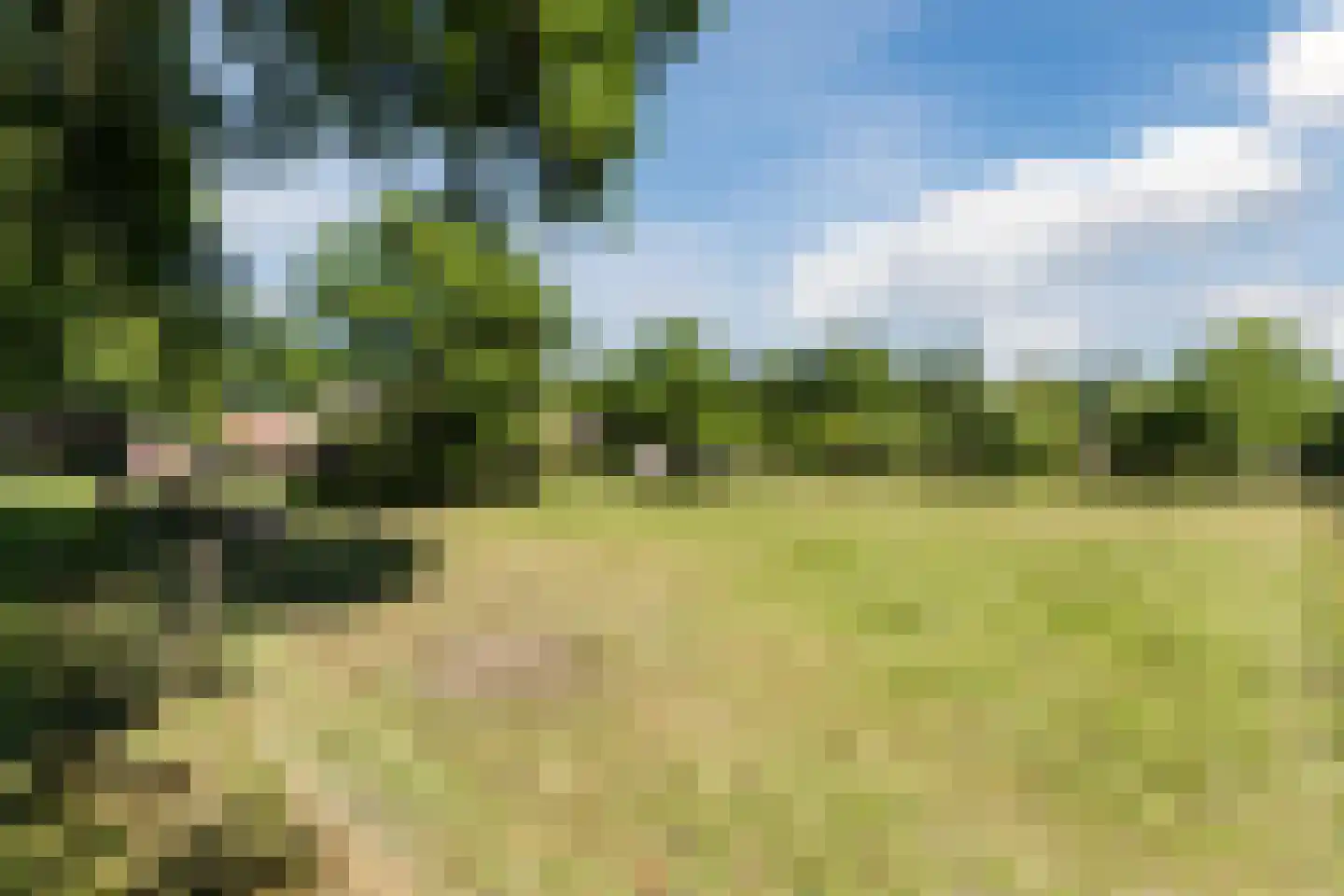 Ruitenveen 15 Nieuwleusen thumbnail 32