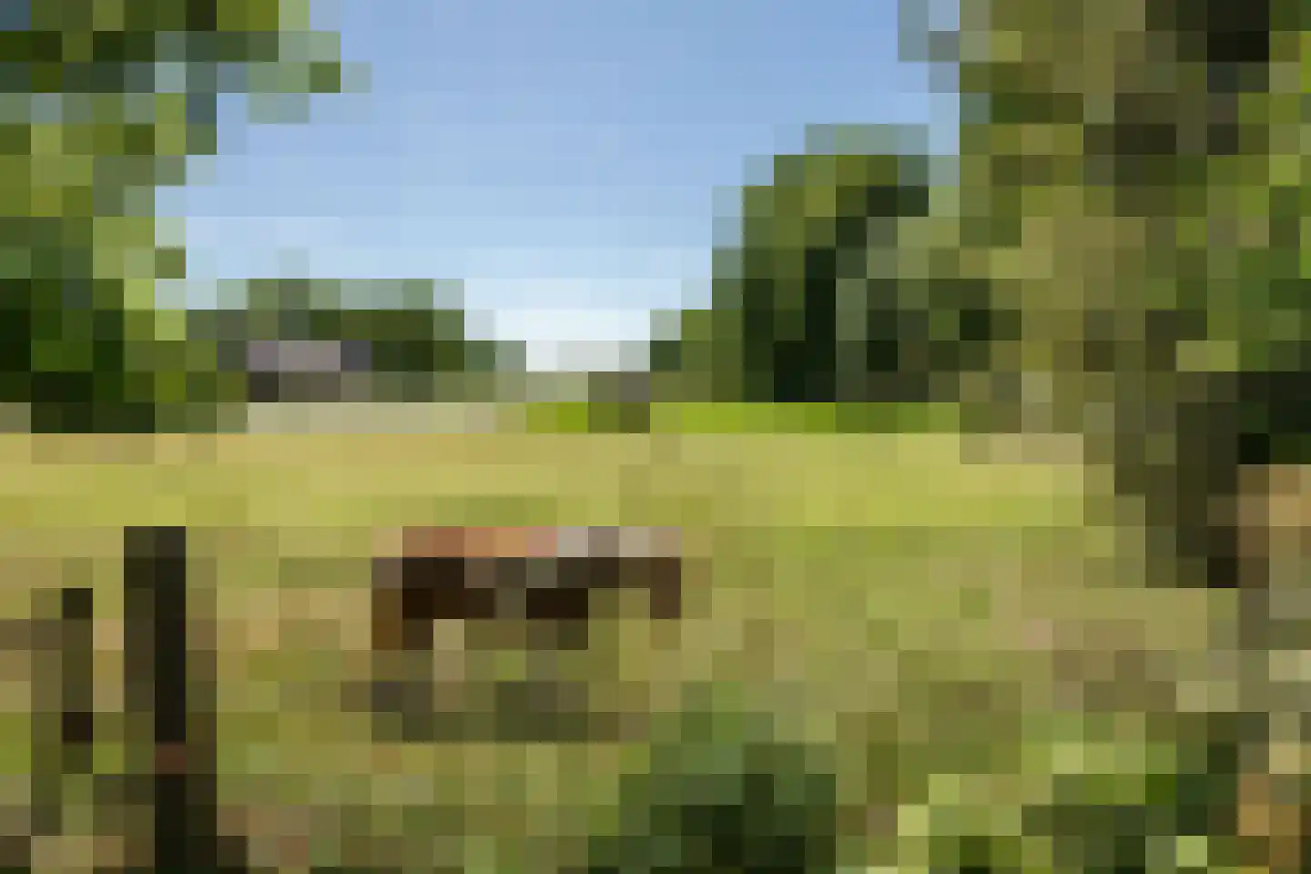 Ruitenveen 15 Nieuwleusen thumbnail 34