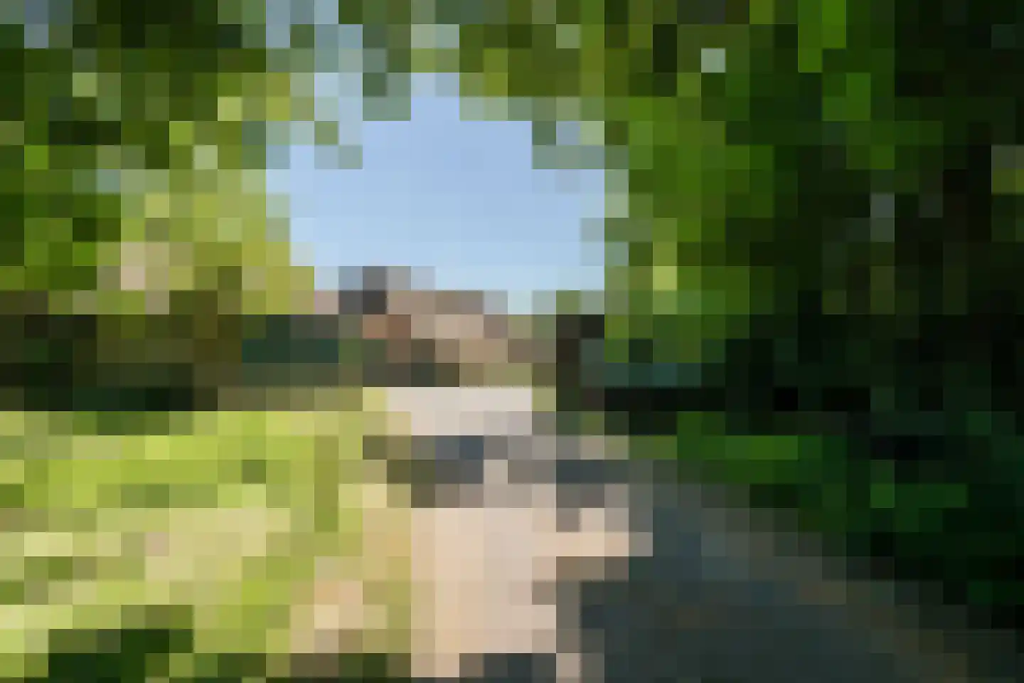 Ruitenveen 15 Nieuwleusen thumbnail 38