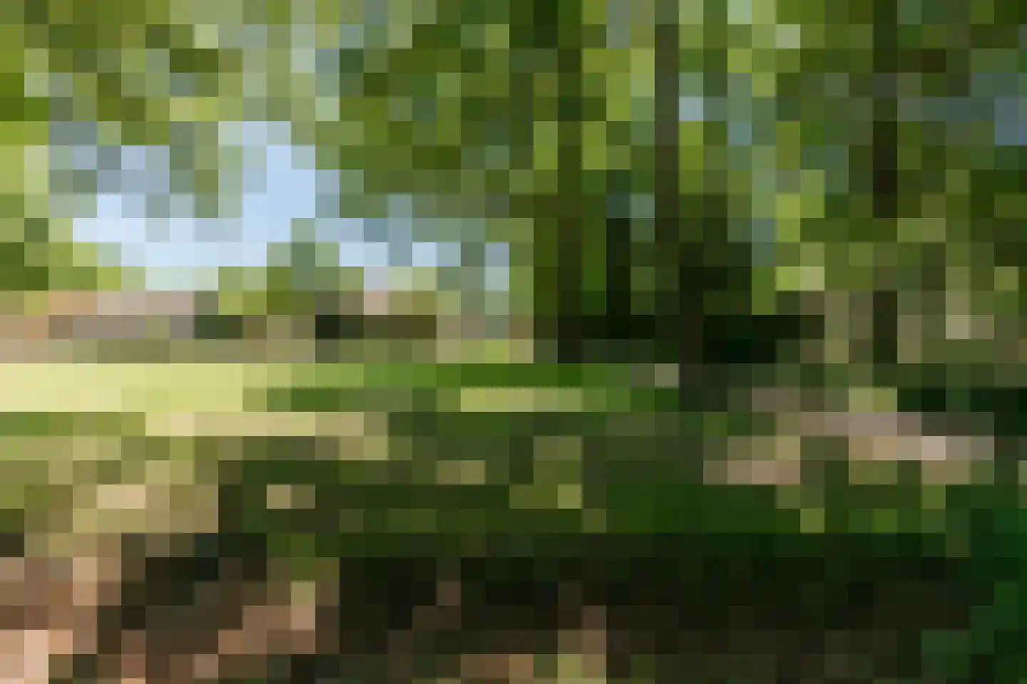 Ruitenveen 15 Nieuwleusen thumbnail 39