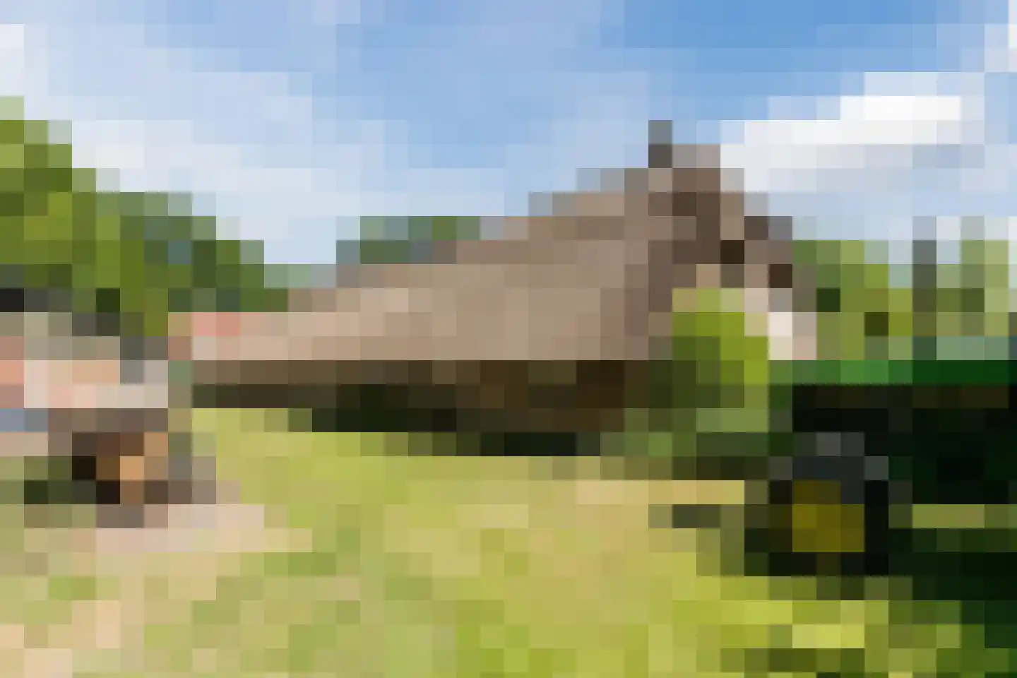 Ruitenveen 15 Nieuwleusen thumbnail 4