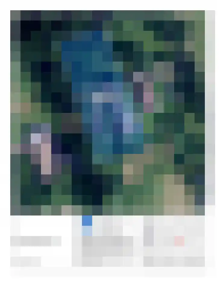 Ruitenveen 15 Nieuwleusen thumbnail 43