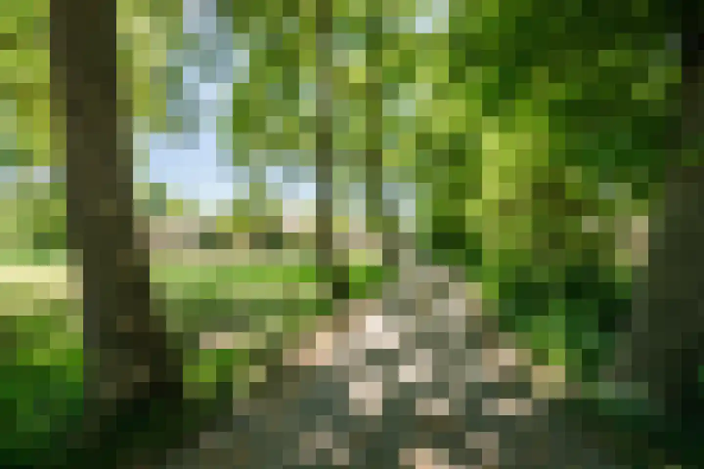 Ruitenveen 15 Nieuwleusen thumbnail 45