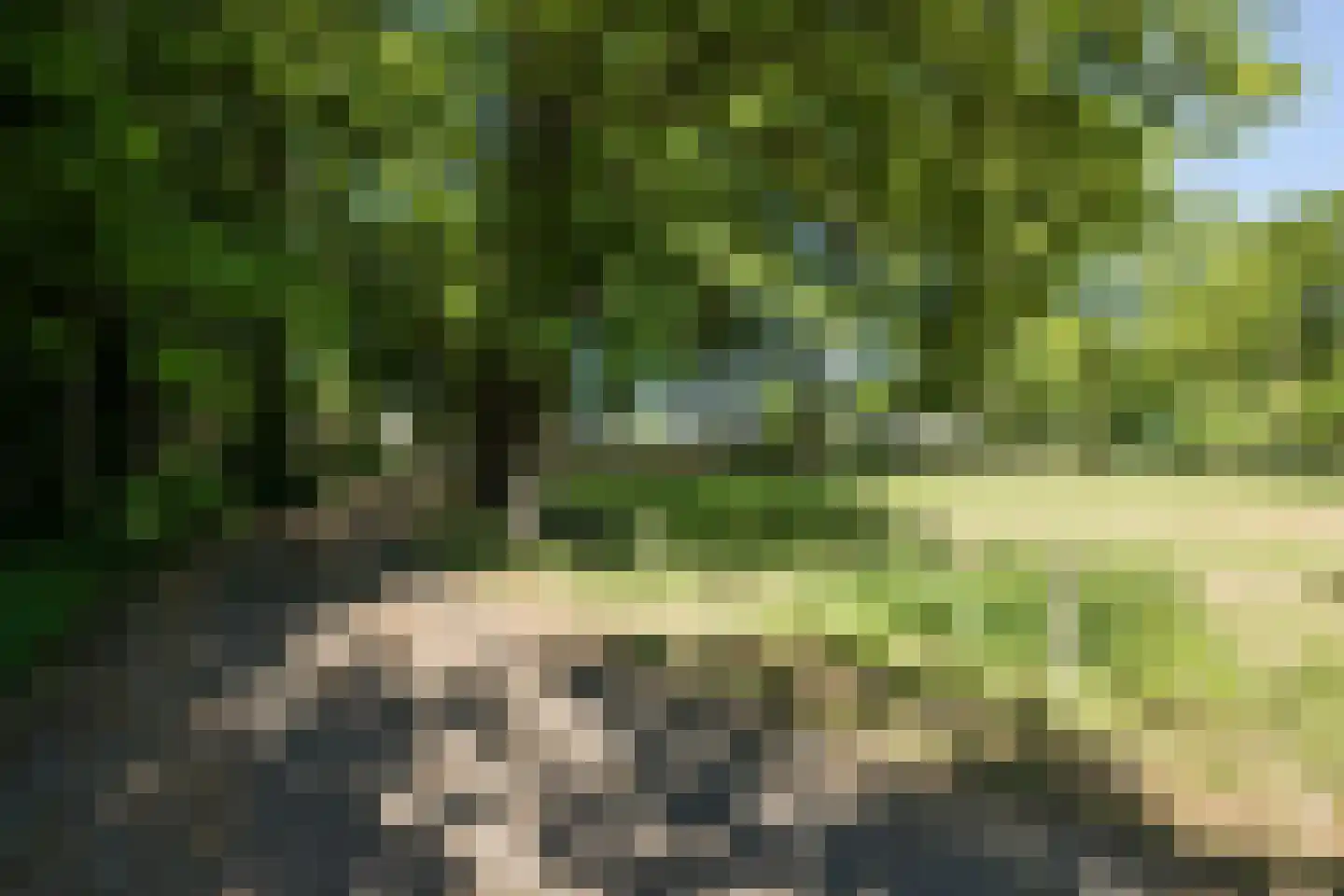 Ruitenveen 15 Nieuwleusen thumbnail 46