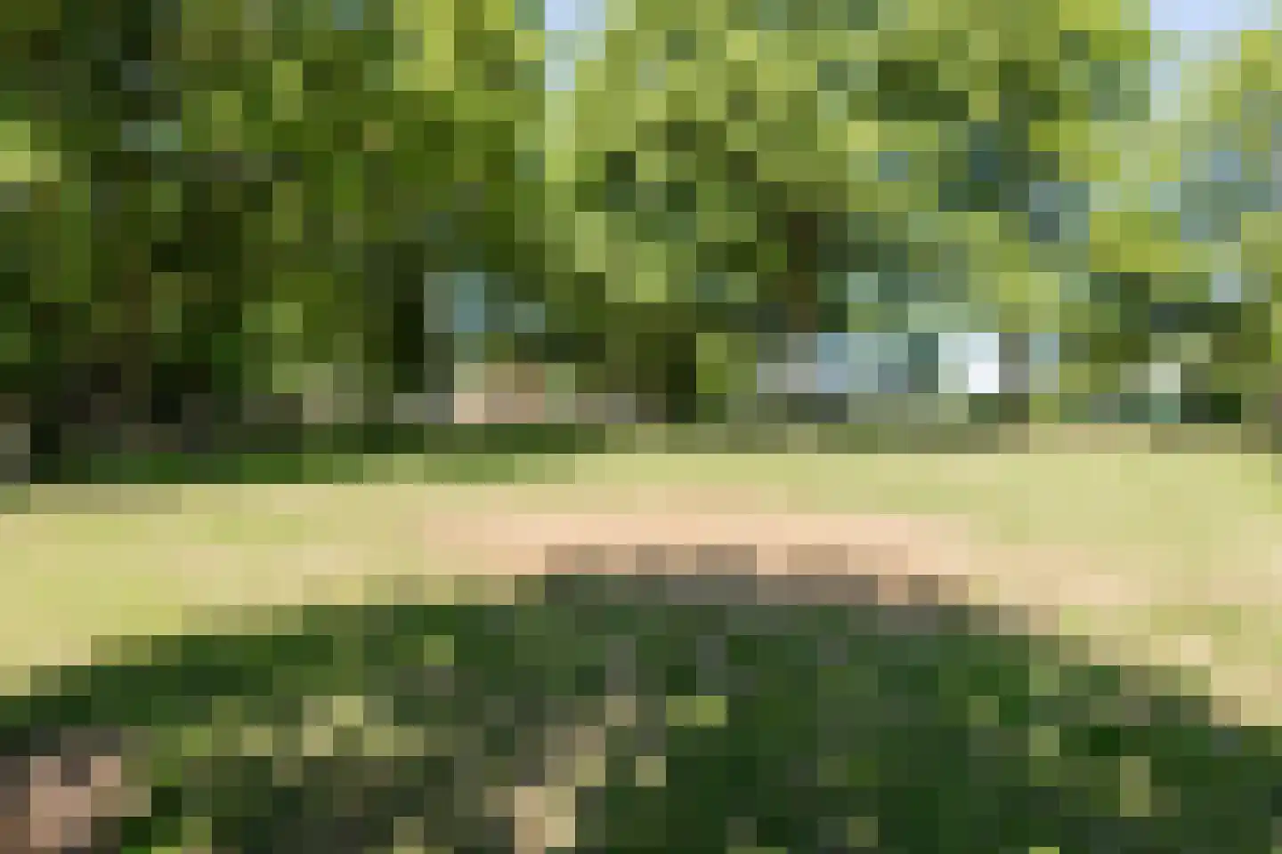 Ruitenveen 15 Nieuwleusen thumbnail 47