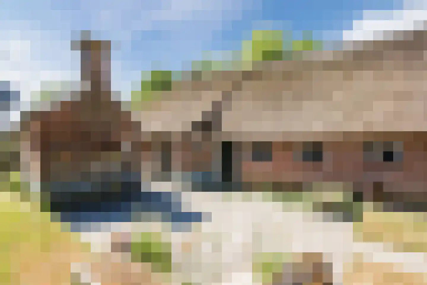 Ruitenveen 15 Nieuwleusen thumbnail 5