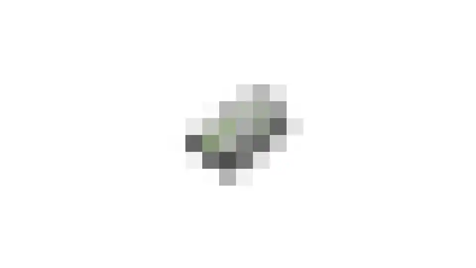 Ruitenveen 15 Nieuwleusen thumbnail 51