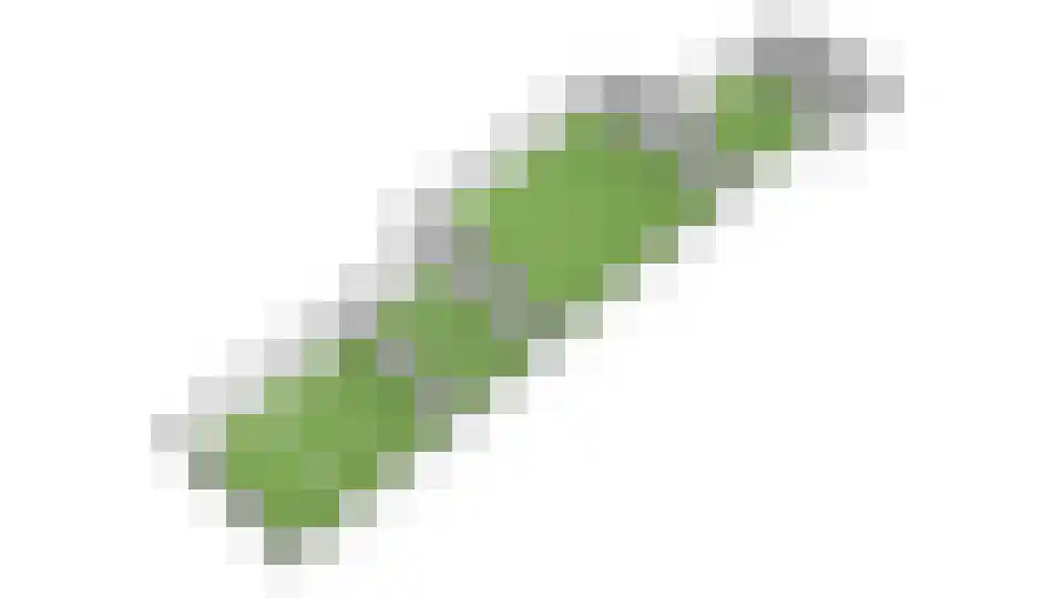 Ruitenveen 15 Nieuwleusen thumbnail 53
