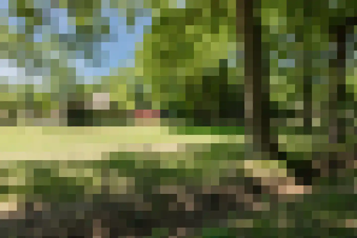 Ruitenveen 15 Nieuwleusen thumbnail 6