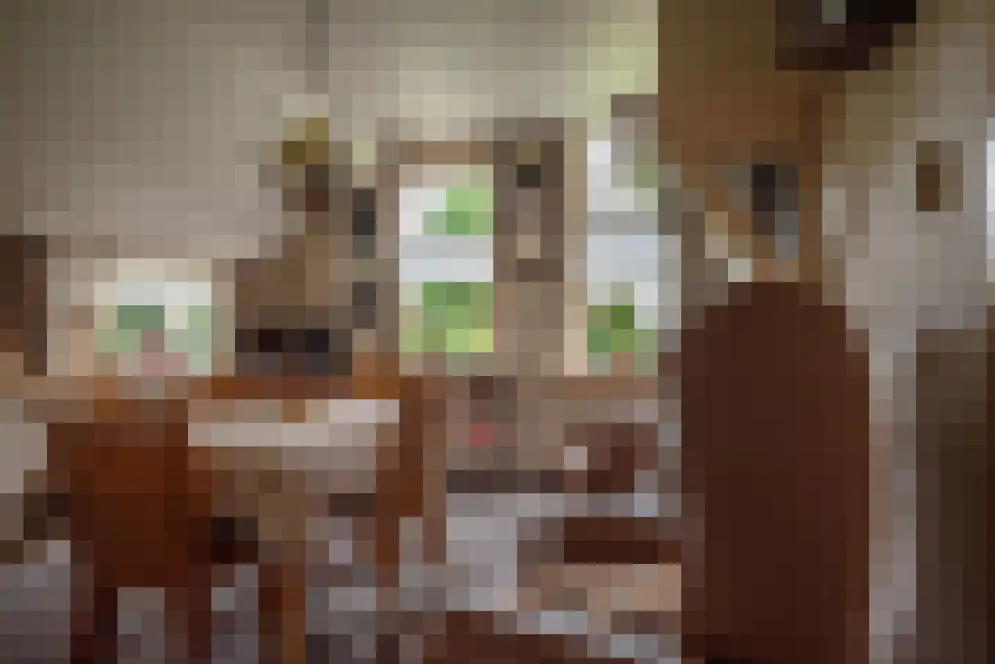 Ruitenveen 15 Nieuwleusen thumbnail 8