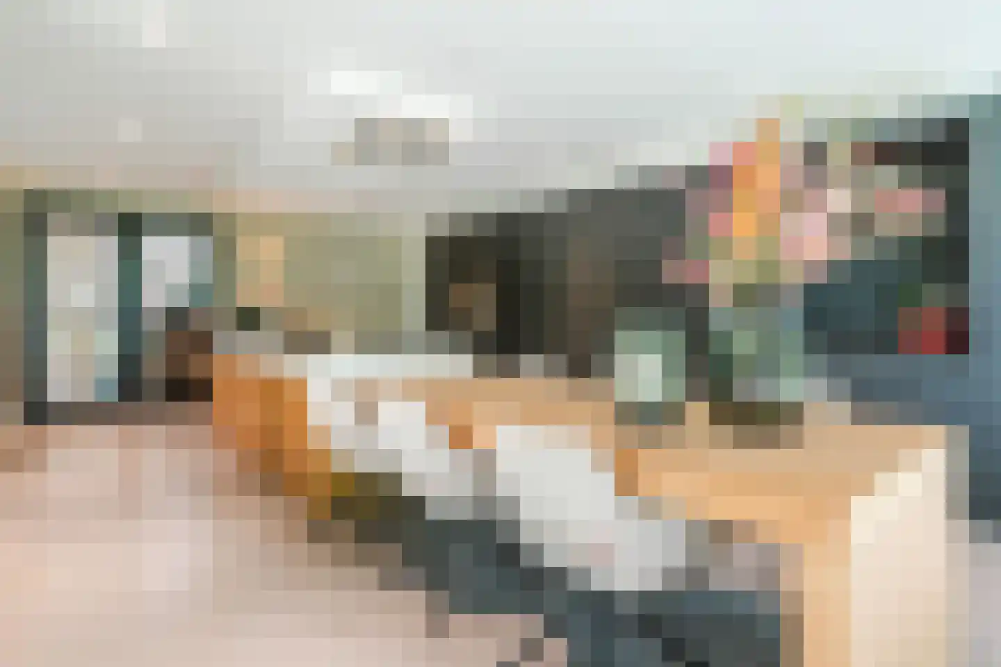 Ruitenveen 24 Nieuwleusen thumbnail 13