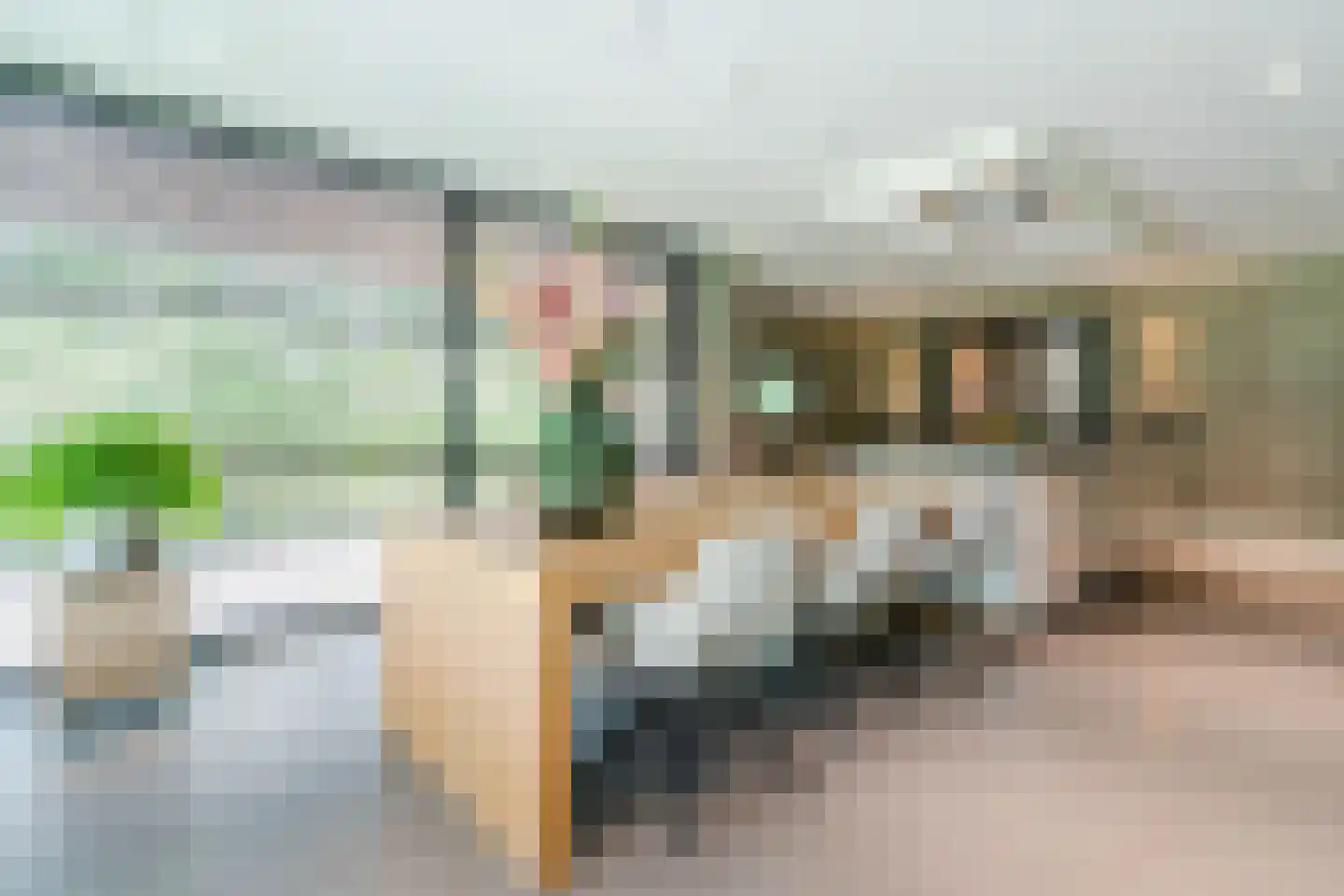 Ruitenveen 24 Nieuwleusen thumbnail 15