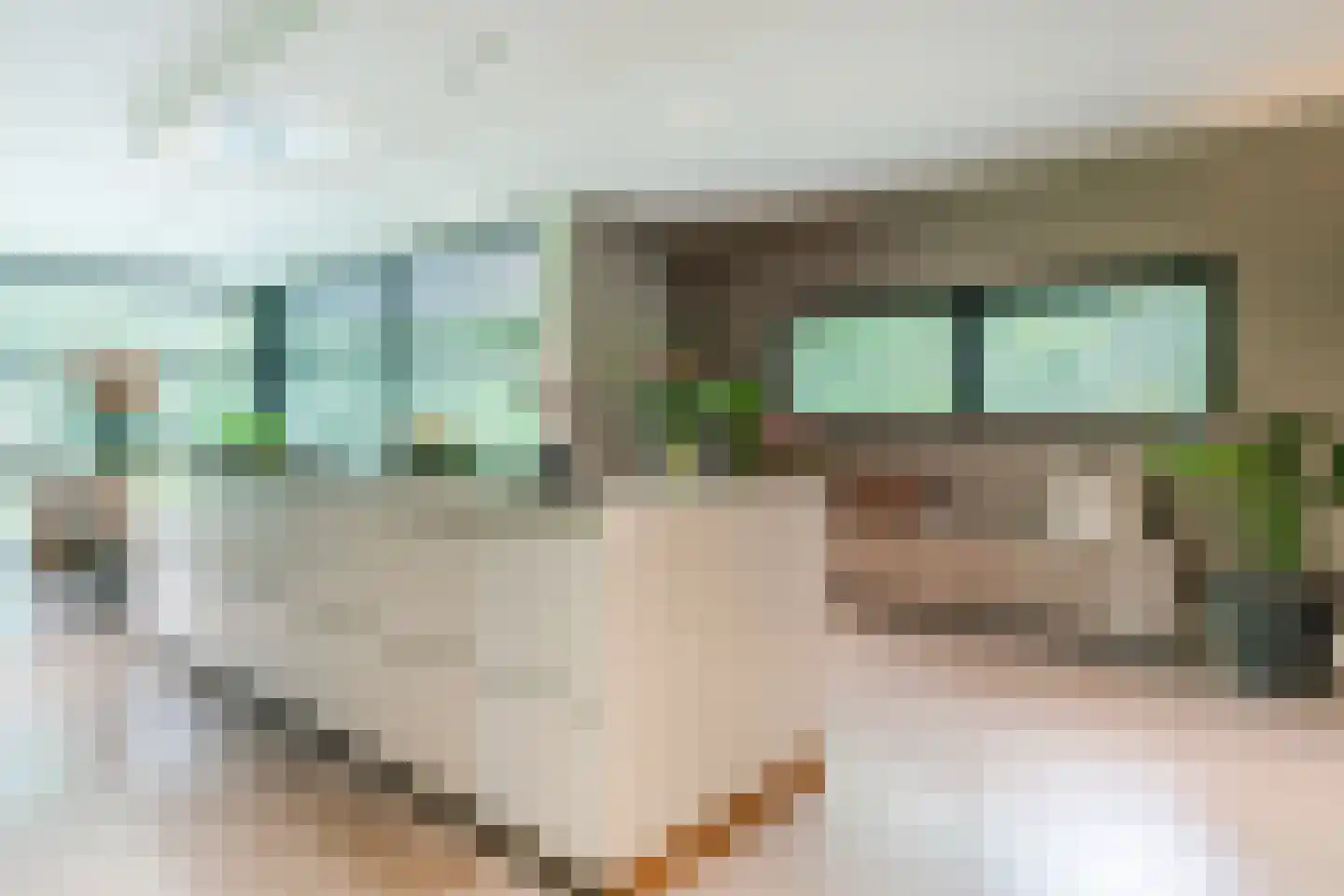 Ruitenveen 24 Nieuwleusen thumbnail 17