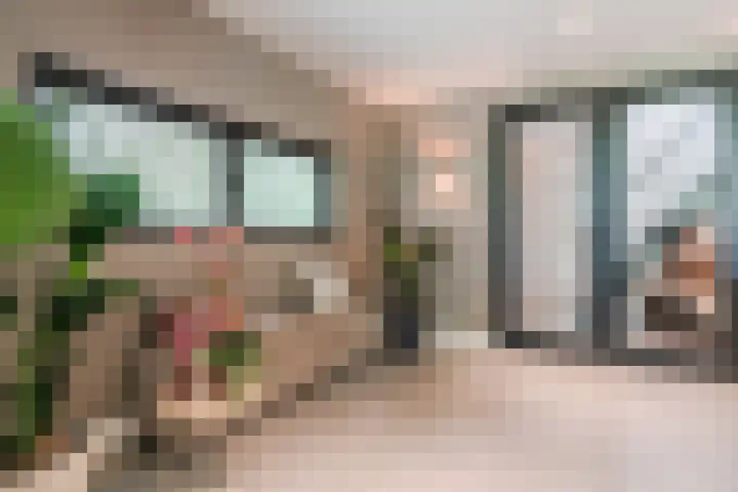 Ruitenveen 24 Nieuwleusen thumbnail 18