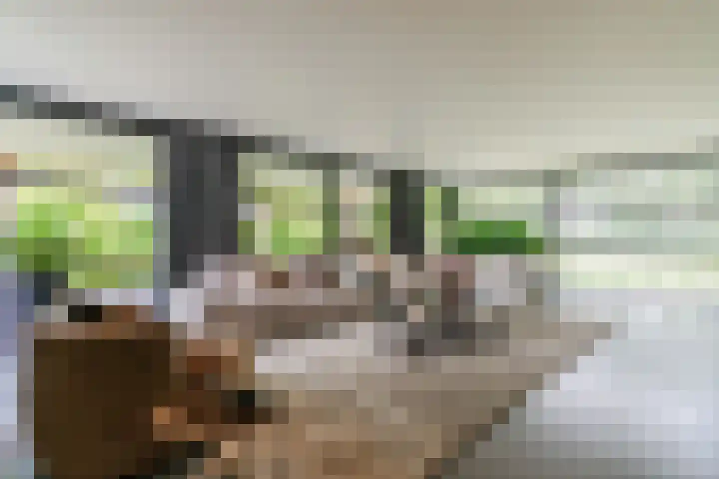 Ruitenveen 24 Nieuwleusen thumbnail 21