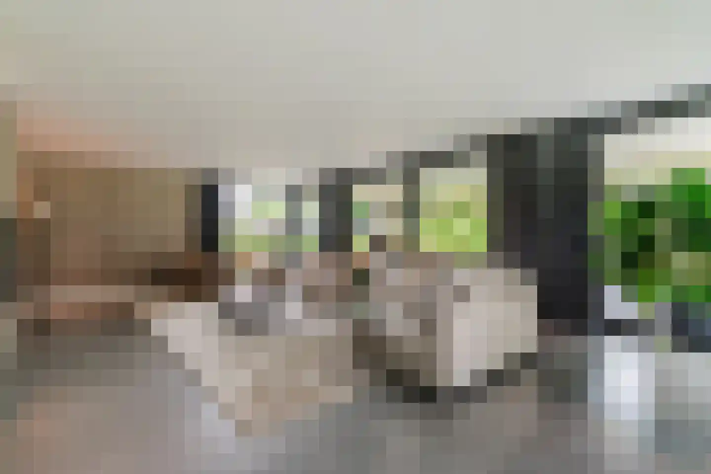 Ruitenveen 24 Nieuwleusen thumbnail 22