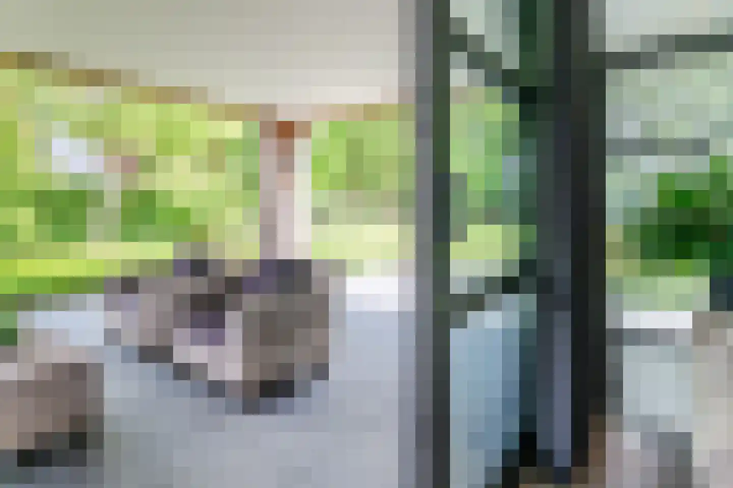 Ruitenveen 24 Nieuwleusen thumbnail 23