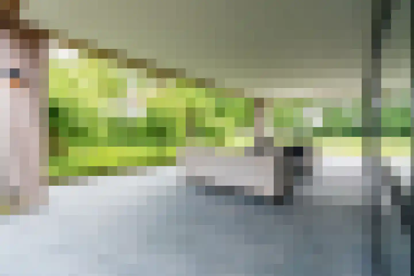 Ruitenveen 24 Nieuwleusen thumbnail 24