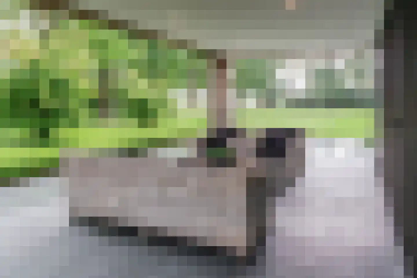 Ruitenveen 24 Nieuwleusen thumbnail 25