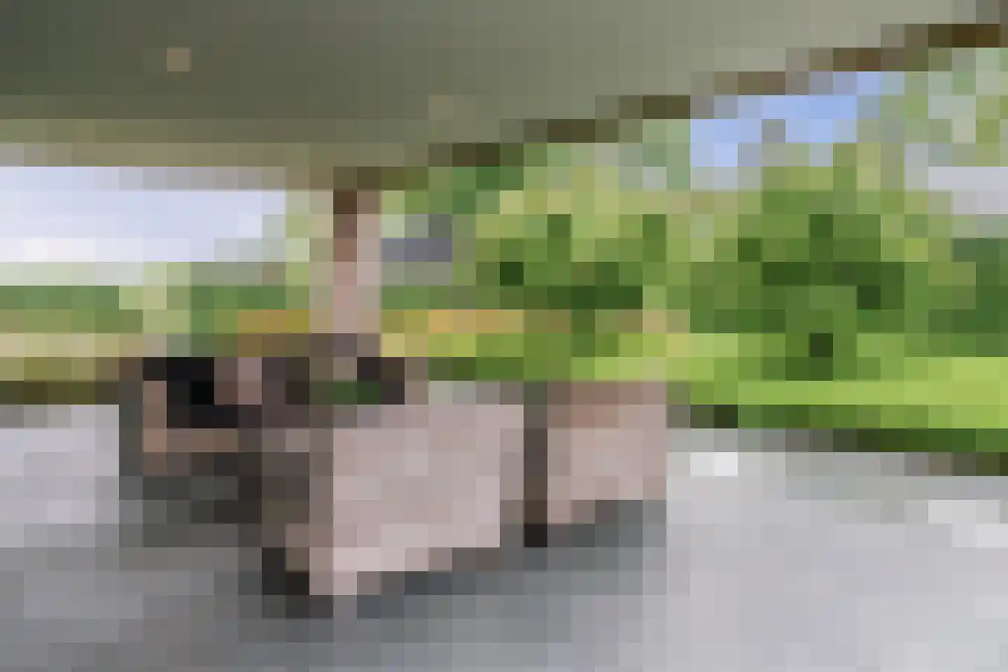 Ruitenveen 24 Nieuwleusen thumbnail 26
