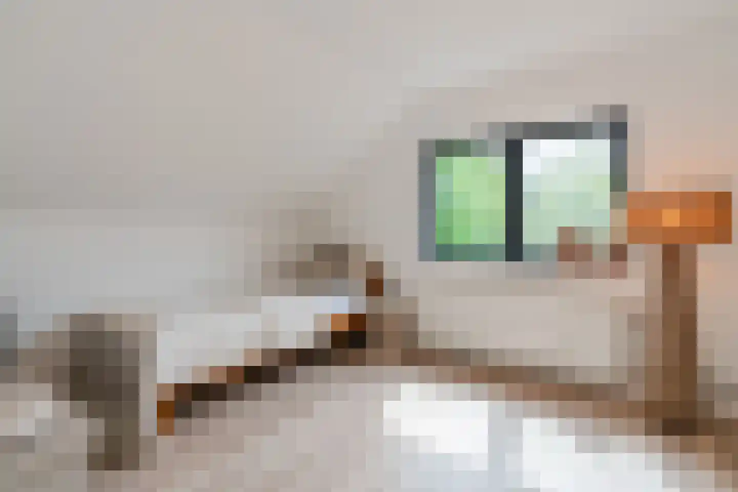 Ruitenveen 24 Nieuwleusen thumbnail 36