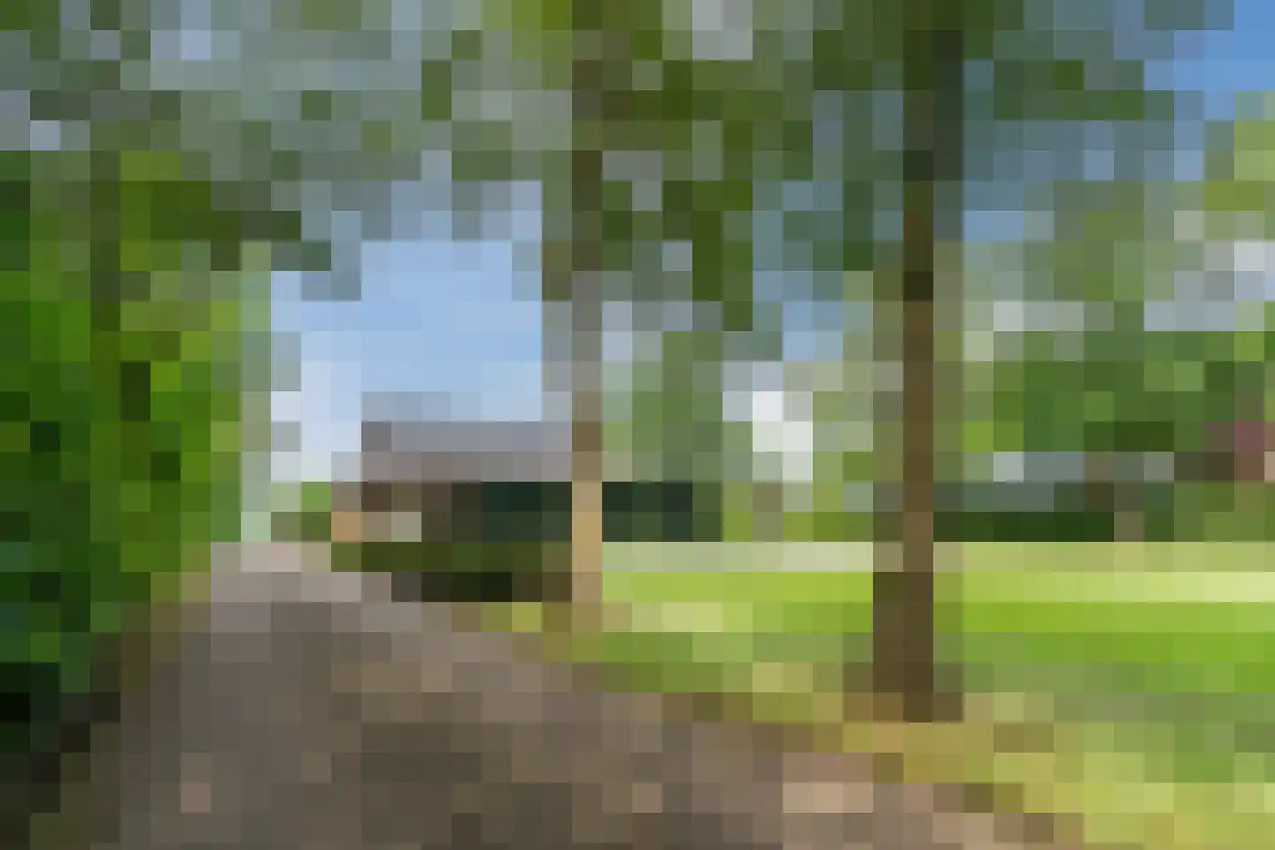 Ruitenveen 24 Nieuwleusen thumbnail 5